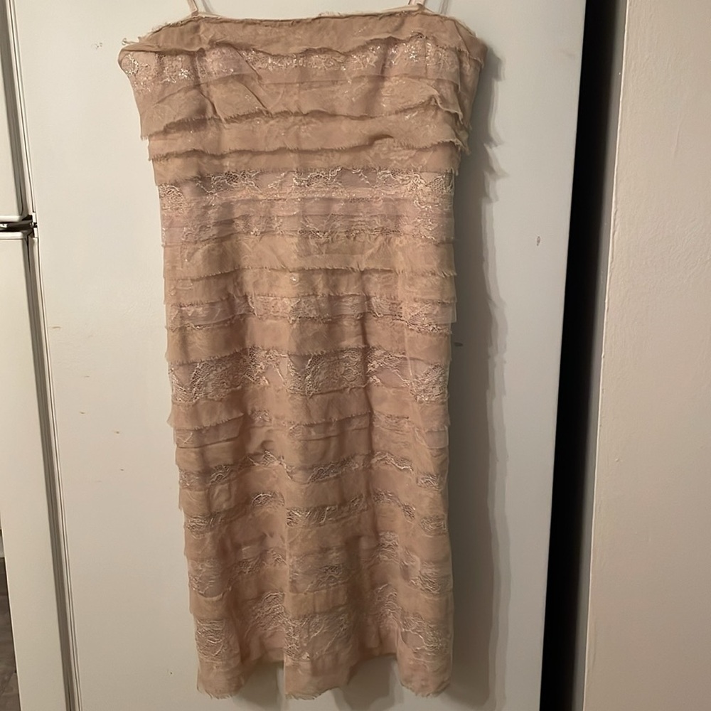 NWT BCBGMaxazria Medium Strapless Dress Champagne